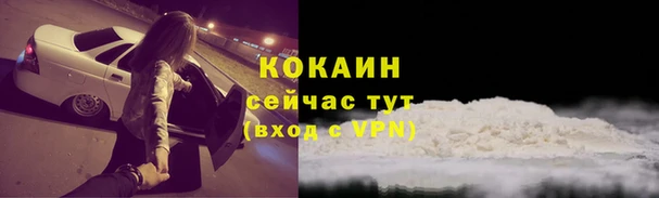 ГАЛЛЮЦИНОГЕННЫЕ ГРИБЫ Магас